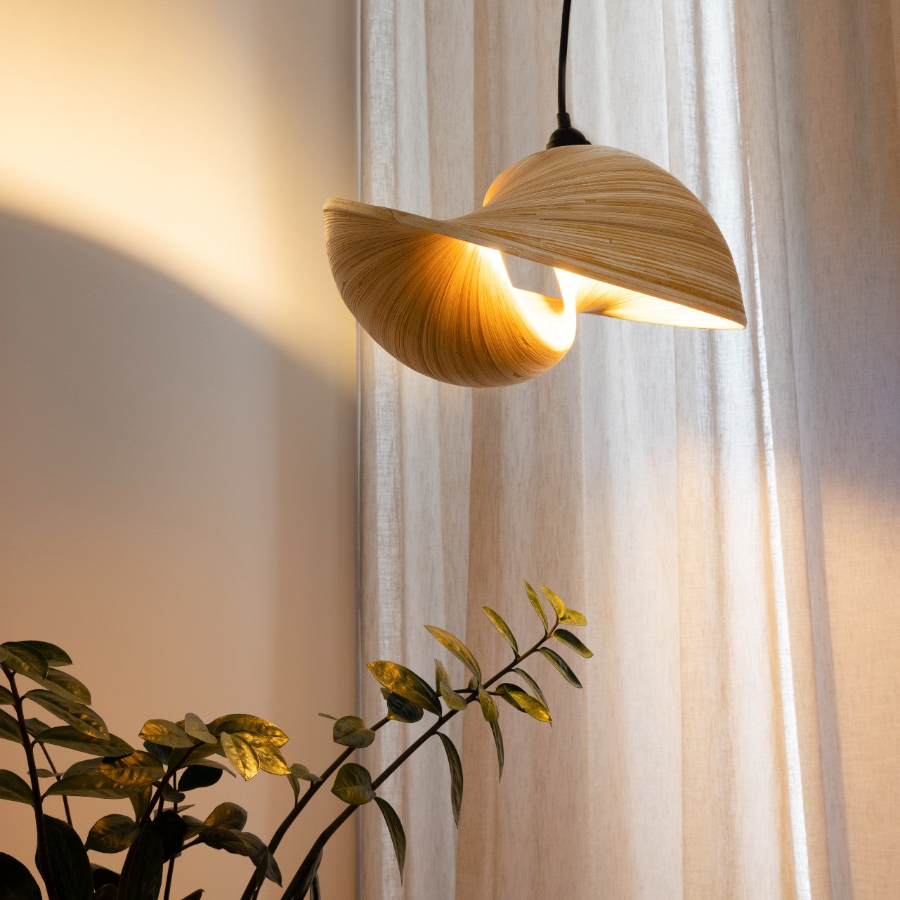 curved bamboo pendant light glowing beautifully. photo shows how light glows upwards as well as down agains a sheer linen curtain